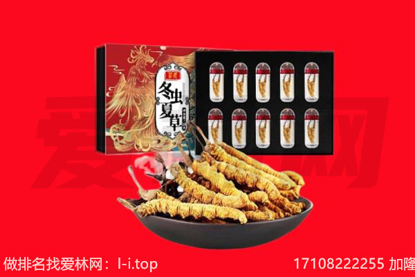 昆明晋宁区回收虫草.jpg